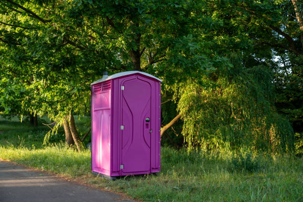 Best Sanitation services for porta potties  in Lone Tree, CO